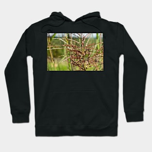 Bright spring grass field with sunlight bokeh background Hoodie